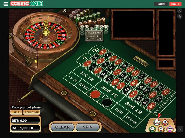 Casino Mate Screenshot
